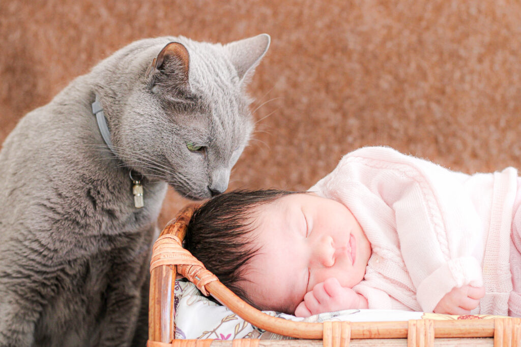 Shooting naissance bébé