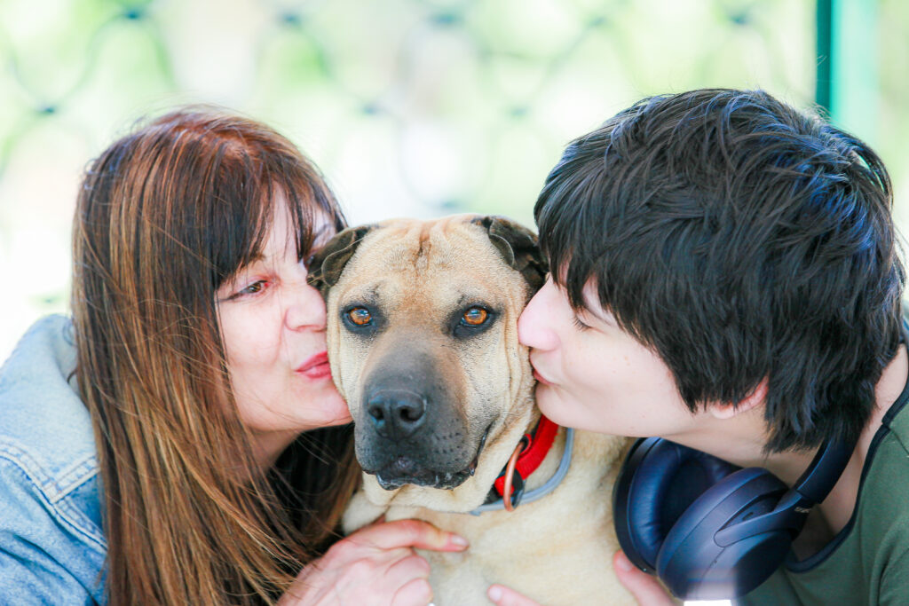 shooting chien et famille