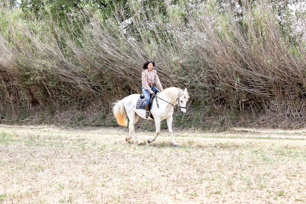 Larco cheval