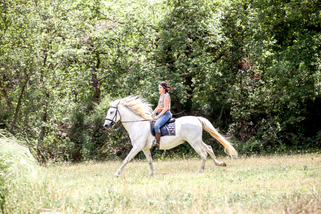Larco cheval