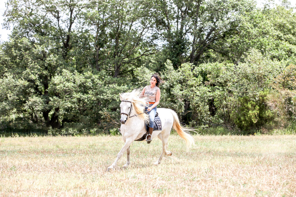 Larco cheval