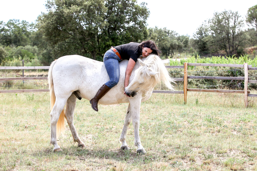 Larco cheval