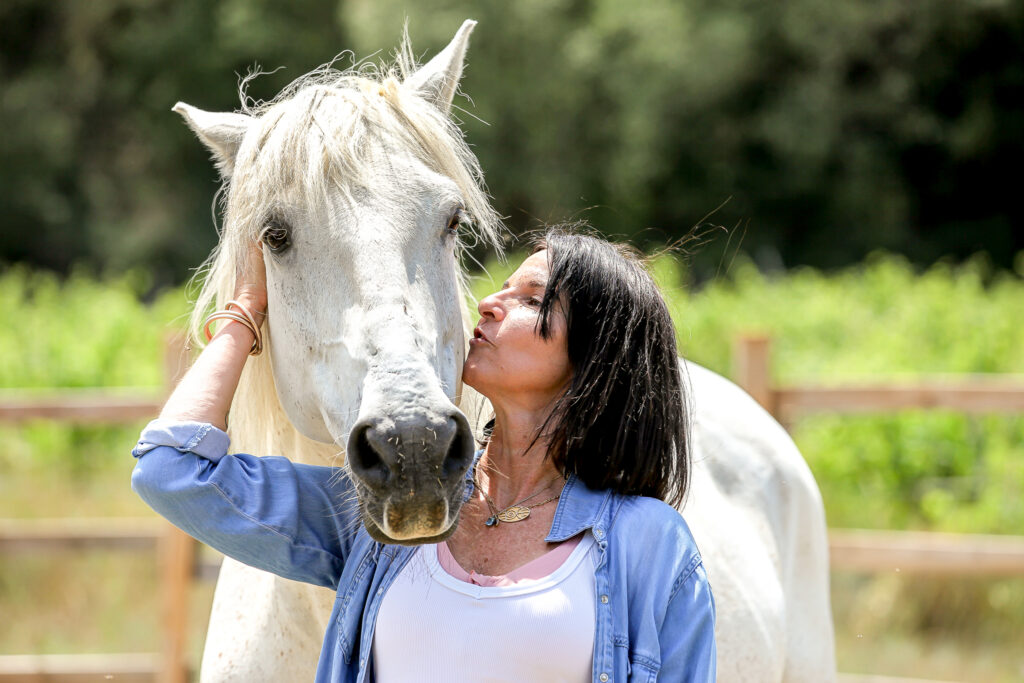 Larco cheval