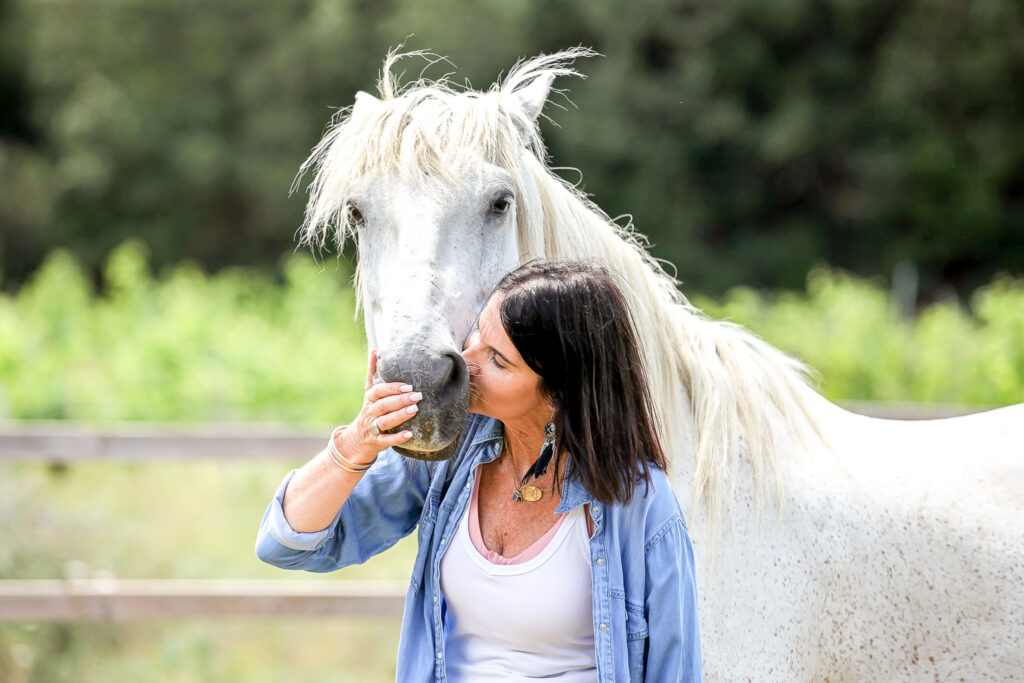Larco cheval